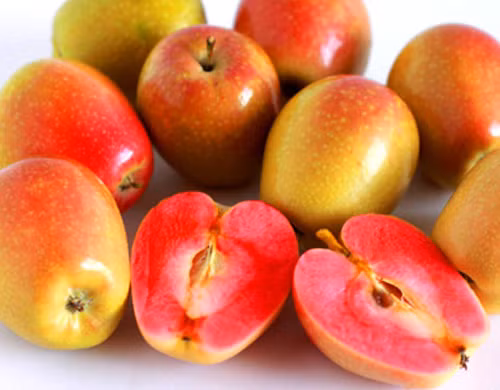 Táo ruột hồng luôn là loại trái cây hấp dẫn bà nội trợ.