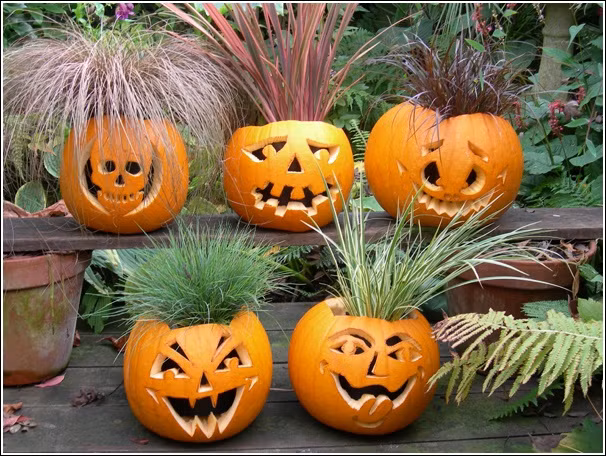 Những quả bí ngô hình thù vui nhộn sẽ khiến cho ngôi nhà sinh động hơn.