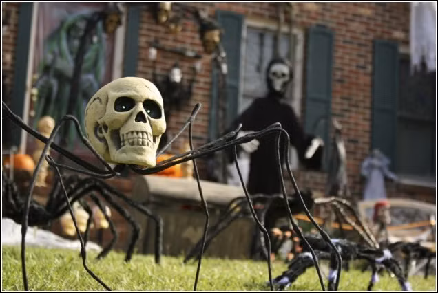 Chiếc đầu lâu trang trí nhà cho dịp Halloween thực sự tuyệt vời.