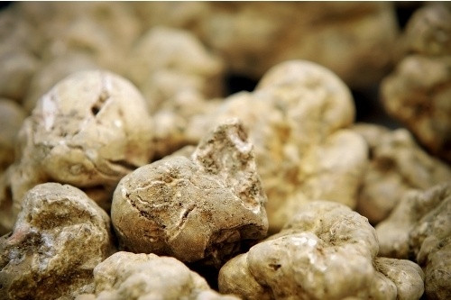 Các thành phần đặc biệt được điểm tô trong bát đó chính là gan ngỗng, thịt bò Kobe cao cấp nhất (loại thịt vốn nổi tiếng đắt đỏ nhất hành tinh) và loại nấm Alba (đây cũng là loại nấm nằm trong danh sách các thực phẩm đắt nhất thế giới).