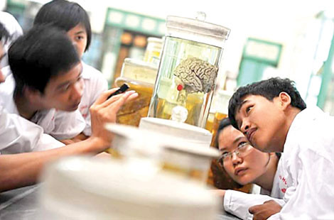 Cau chuyen phia sau nhung la don hien thi the-Hinh-3