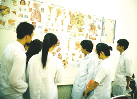 Cau chuyen phia sau nhung la don hien thi the-Hinh-4