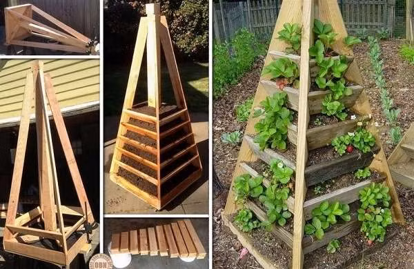 Vườn rau hình kim tự tháp.