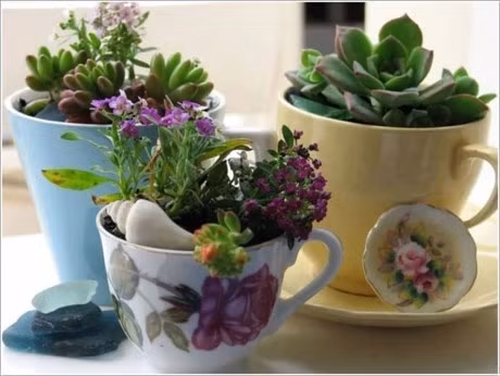 Những chậu hoa dễ thương từ tách trà cũ.