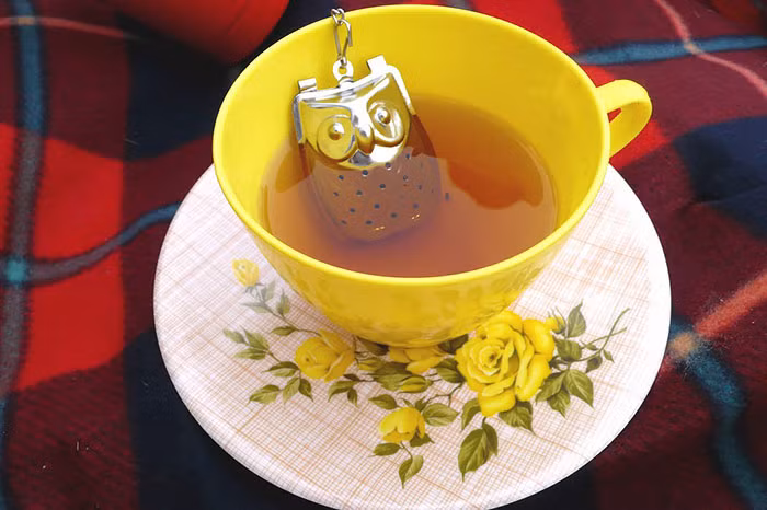 Dụng cụ lọc trà hình cú cho những người yêu động vật.