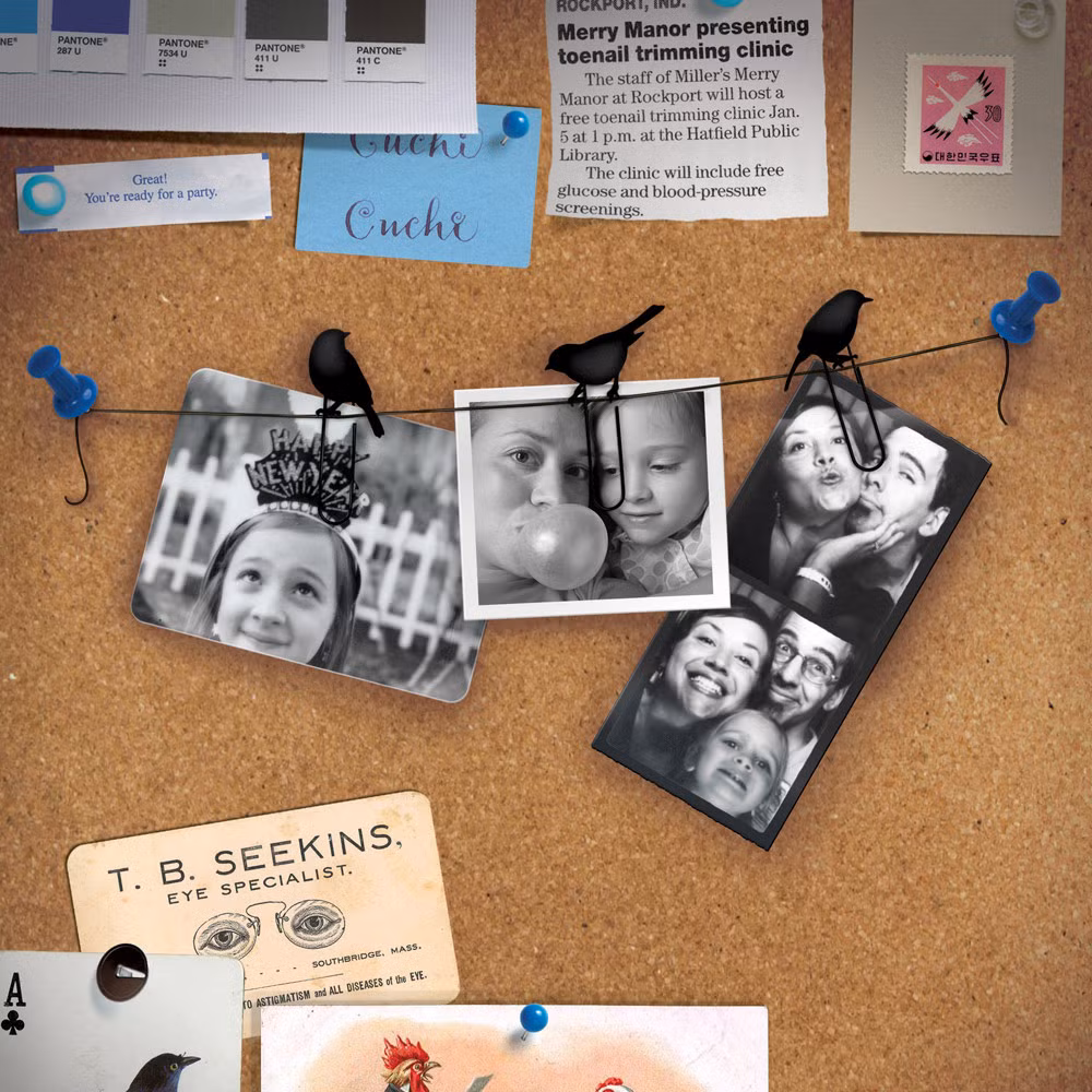 Những chiếc gim hình chim dễ thương.