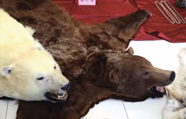 Số hàng lậu tịch thu được định giá lên tới 3,8 triệu USD (tương đương hơn 84 tỷ đồng).