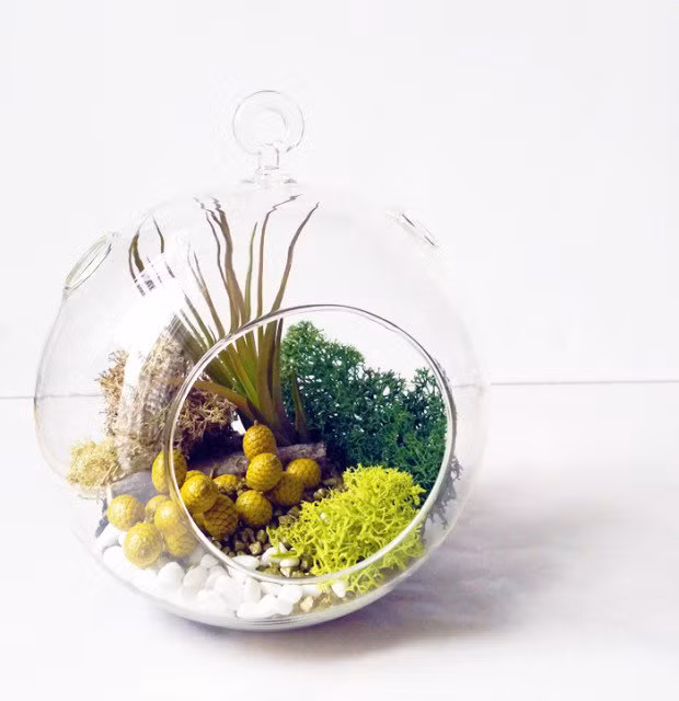 Kiểu chậu hoa độc đáo trong bình.