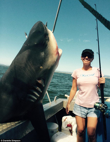 Joel Merchant (33 tuổi) và bạn gái Danielle Simpson (35 tuổi) đã tóm được con cá mập bò dài 3m, nặng 200kg khi đang đi nghỉ tại bãi biển Duranbah (Australia).