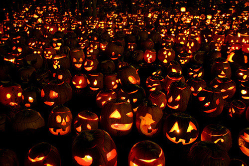 Nhu cầu đối với loại đèn bí ngô vào dịp Halloween ở Anh ngày càng tăng của tại Anh. “Nếu không có đèn bí ngô có không phải là thực sự là một Halloween”, ông Jon nói.