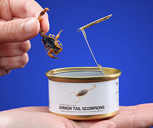 Món bọ cạp đóng hộp: Bọ cạp là một món ăn được ưa chuộng ở Thái Lan và món này còn được đóng hộp để phục vụ nhu cầu người tiêu dùng.