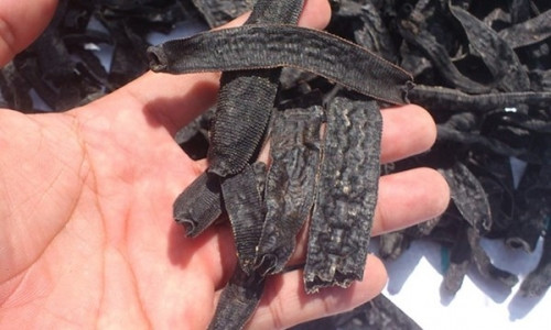 Hai hung 72kg dia “doi lot” ca kho tuon vao Viet Nam