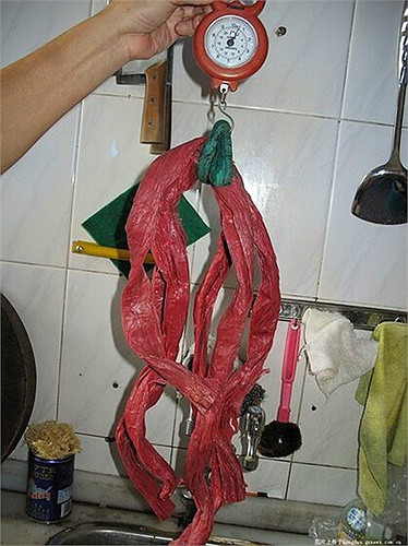 Kinh doanh cua biển là một ngành nghề thu lãi lớn trong mùa thu ở Trung Quốc. Một tiếp viên hàng không ở Hàng Châu từng bỏ việc để theo nghề buộc cua biển.