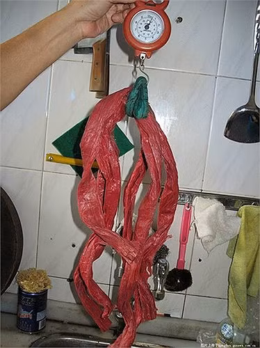 Kinh doanh cua biển là một ngành nghề thu lãi lớn trong mùa thu ở Trung Quốc. Một tiếp viên hàng không ở Hàng Châu từng bỏ việc để theo nghề buộc cua biển.