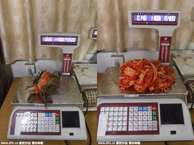 Theo phản ánh của khách hàng, những sợi dây được buộc gọn gàng trên càng cua nhưng thực chất chúng có chiều dài lên đến hơn 31m.