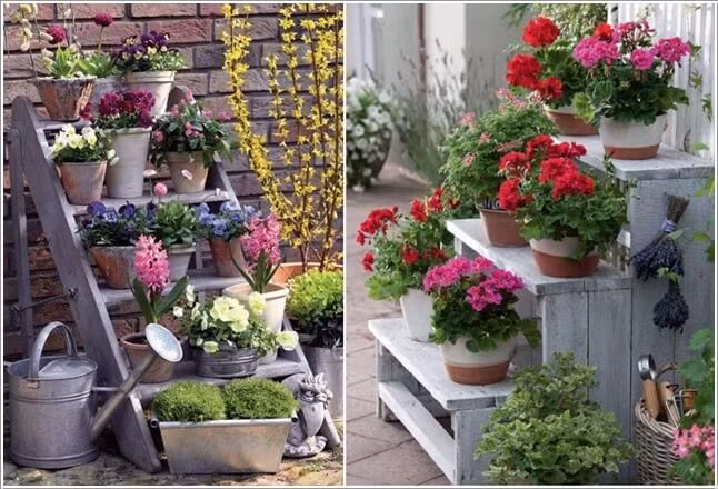 Những kệ hoa rực rỡ giúp ngôi nhà nổi bật hơn.