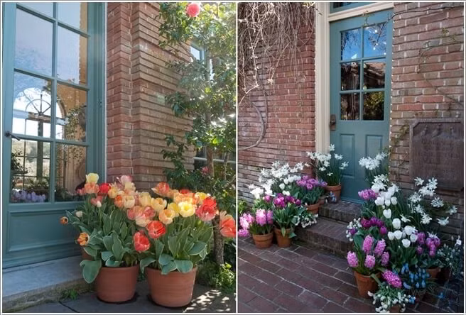 Những chậu hoa tươi tắng ở hai bên cửa chính tạo ấn tượng với các vị khách.