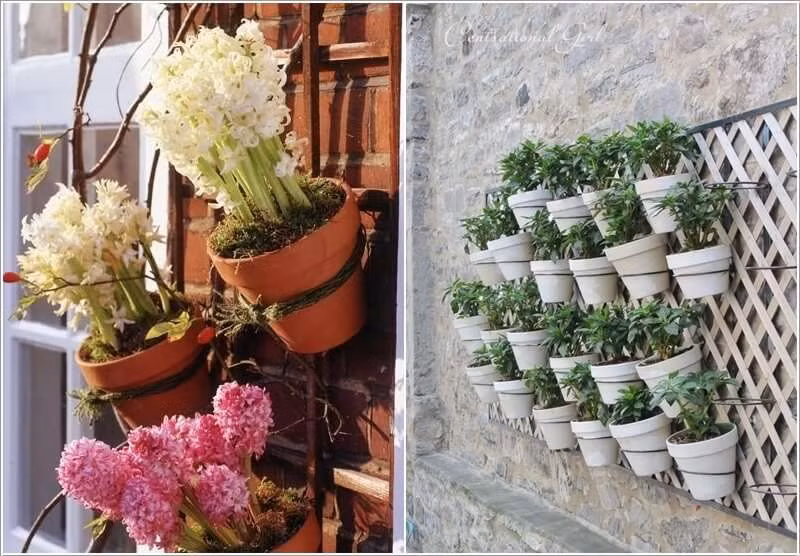 Bạn cũng có thể treo các chậu hoa hay chậu cây cảnh lên tường thế này.