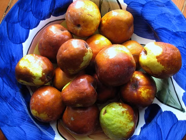 Giống táo dại này khá được người tiêu dùng ưa chuộng bởi vị ngọt dịu và ăn giòn.