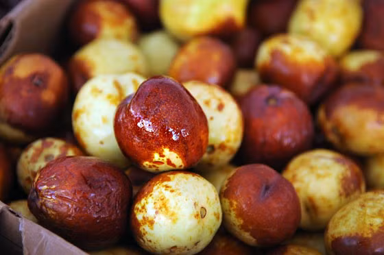 Khi được xách tay về Việt Nam, táo tươi Daechu có giá bán lên tới 800.000 đồng/kg.