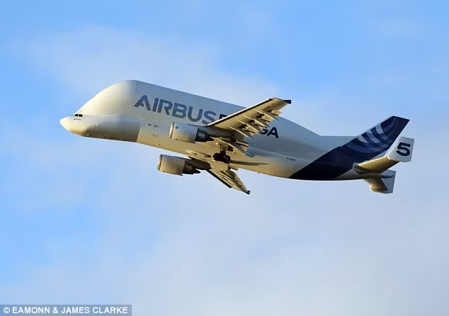 Airbus Beluga hay còn được biết đến là A300-600ST Super Transporter là phiên bản mở rộng của chiếc A300-600 thân rộng.