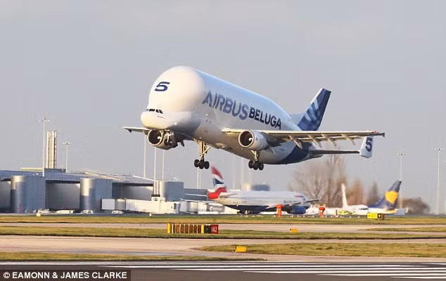 Mỗi chiếc đều được đánh số phía trước.