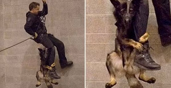 Cho canh sat “run nhu cay say” khi luyen tap