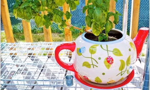 Chậu hoa xinh xắn từ chiếc ấm cũ.