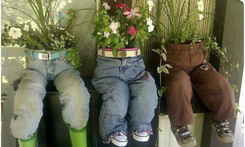 Bạn có thể biến tấu những chiếc quần cũ thành chậu hoa cực ấn tượng.