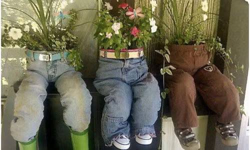 Bạn có thể biến tấu những chiếc quần cũ thành chậu hoa cực ấn tượng.