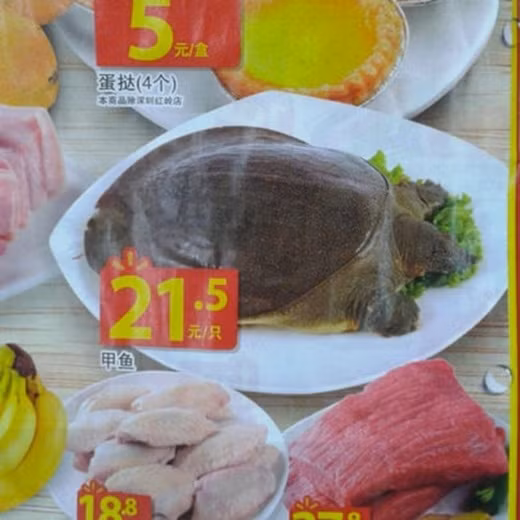 Rùa nguyên con cũng được bày bán.