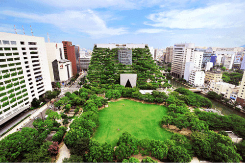 Tính năng đặc biệt của tòa nhà này là thiết kế có hệ thống thoát nước, tương tự như một ngọn núi. Phương pháp này cho phép sự dẫn nước tự nhiên khi nước chảy từ trên đỉnh tòa nhà và các vùng nước xung quanh thảm thực vật theo đường chảy xuống.