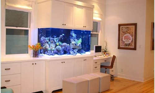 Kiểu bể cá ở giữa kệ tủ đựng đồ độc đáo.