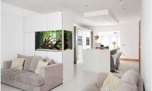Bạn có thể thiết kế bức tường ngăn cách giữa các phòng độc đáo với một bể cá xinh xắn.