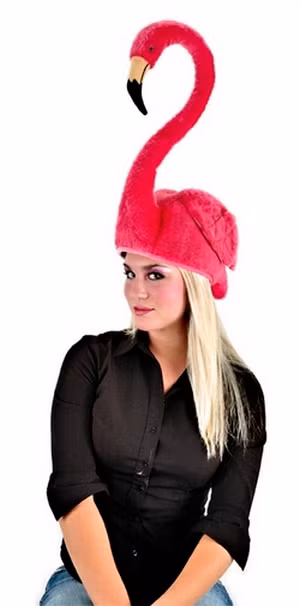 Mũ hình thiên nga nổi bật.