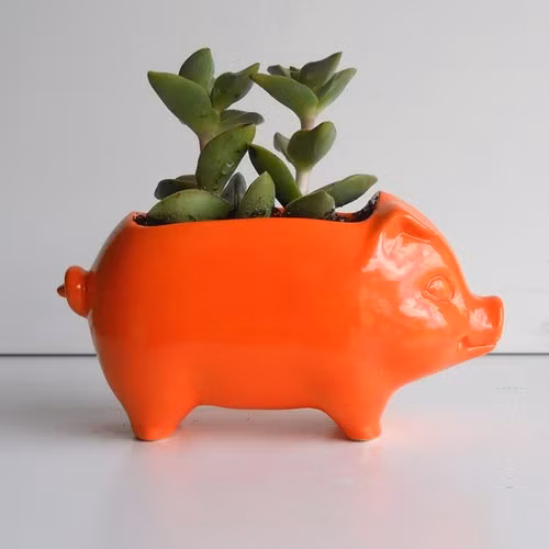 Chậu hoa hình chú ỉn nổi bật.