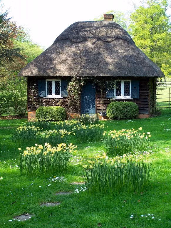 Thiên nhiên tươi xanh bao quanh ngôi nhà tranh mộng mơ.