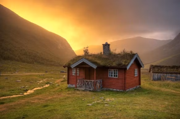  Ngôi nhà mái cỏ xanh mướt như trong truyện cổ tích.