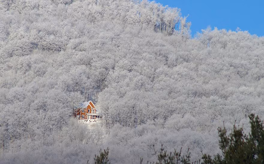 Thêm một ngôi nhà gỗ nằm lẻ loi giữa rừng cây mùa đông.