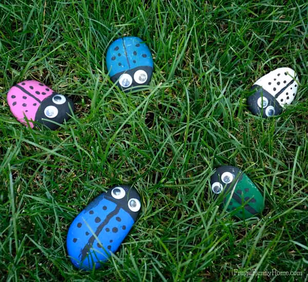 Những con bọ đá nổi bật trên khu vườn.