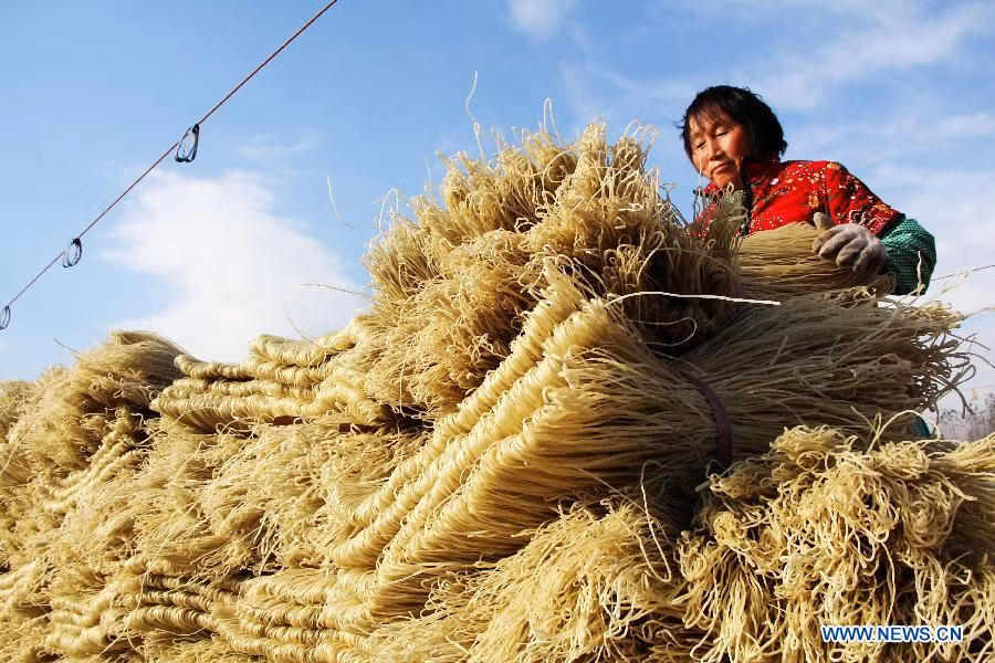 Hơn 100 gia đình trong làng sinh sống nhờ nghề làm bún khoai tây và doanh thu hàng năm của họ có thể đạt hơn 4 triệu NDT (13,9 tỷ đồng).