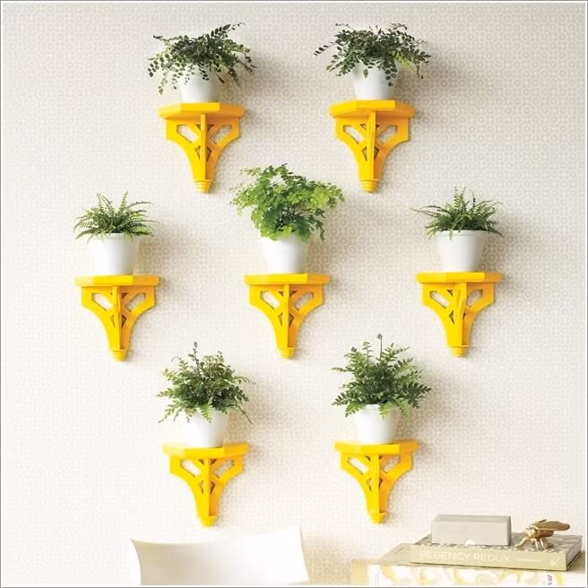 Đóng những chiếc giá riêng biệt cho từng loại cây với độ cao thấp khác nhau để có một khu vườn xinh xắn ngay trong nhà.