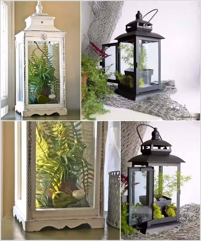 Ngoài cách trồng cây xanh trong chậu, bạn cũng có thể chọn một chiếc hộp treo trồng cây để trang trí phòng khách.