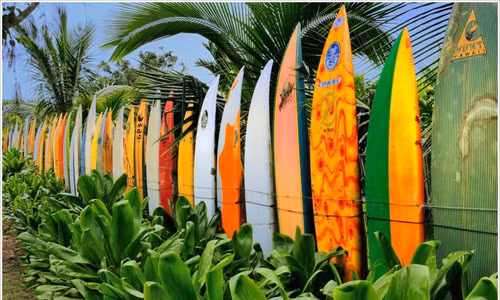 Một kiểu hàng rào đặc biệt từ ván lướt sóng cũ.