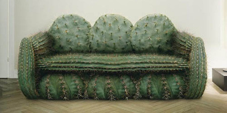 Ghế chủ đề xương rồng giúp phòng khách nổi bật hơn bao giờ hết.