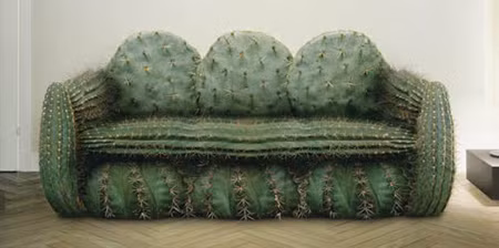 Ghế chủ đề xương rồng giúp phòng khách nổi bật hơn bao giờ hết.