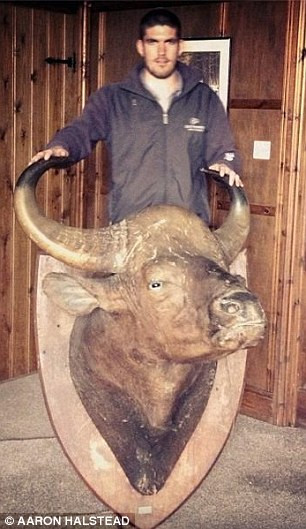 Tấm ảnh anh chàng 24 tuổi chụp cùng một mô hình đầu trâu rừng.