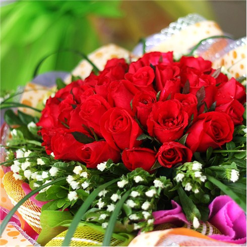 Nhung mon qua 20/11 gia mem van day y nghia