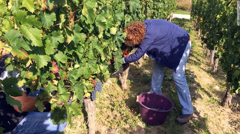 Tiet lo bat ngo ve nghe cuc hot o Phap