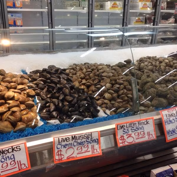 Gian hàng hải sản tươi sống với các tấm biển đề tên tiếng Việt.